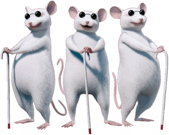 three white mice wearing sunglasses and walking canes are standing next to each other