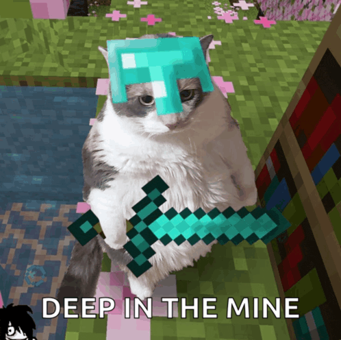 a cat wearing a helmet and holding a diamond sword with the words deep in the mine below it