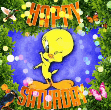 a happy saturday greeting card with tweety in the center