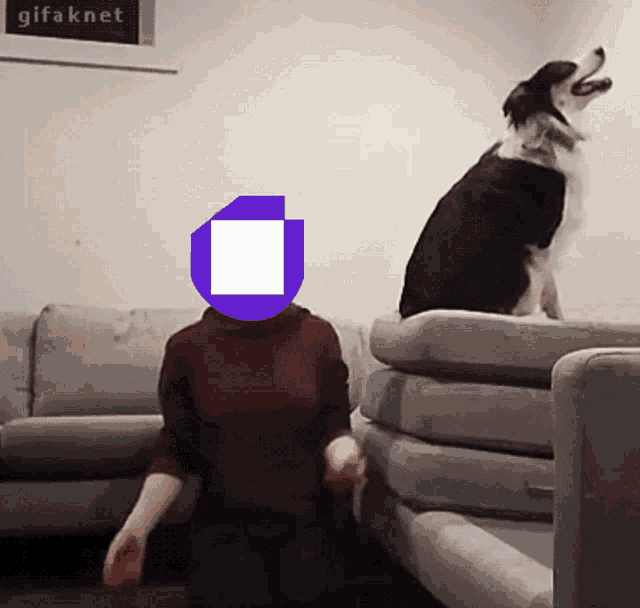 a woman sitting on a couch with a dog behind her and a sign that says gifaknet