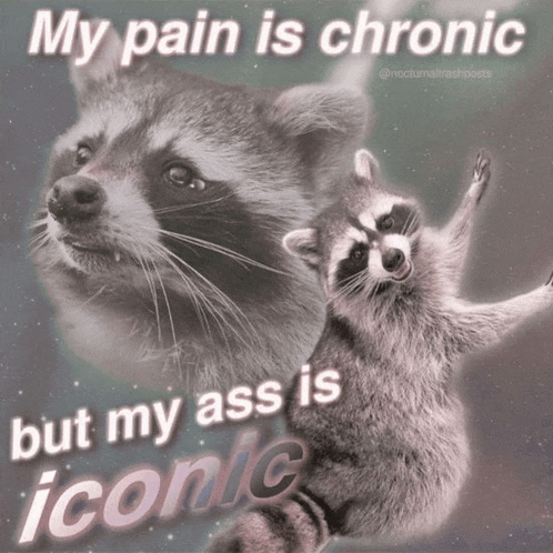 a picture of a raccoon with a caption that says my pain is chronic but my ass is iconic