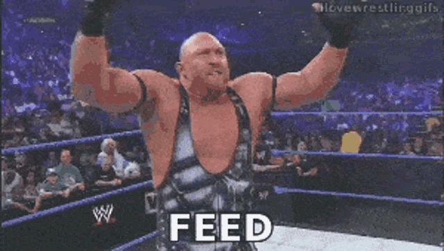 a wrestler with his arms outstretched and the word more on the bottom
