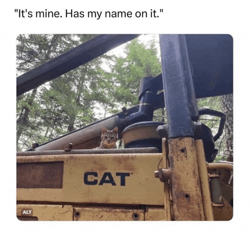 a cat is sitting on the back of a cat bulldozer