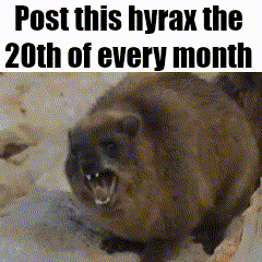 a picture of a cat with its mouth open and the words post this hyrax the 20th of every month