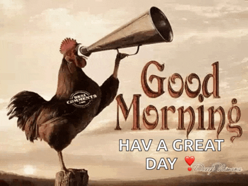 a rooster is holding a megaphone and saying good morning have a great day