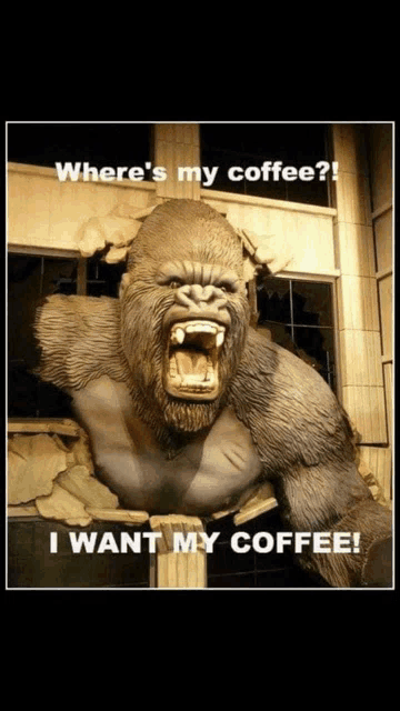 a statue of a gorilla with the words where 's my coffee i want my coffee on it