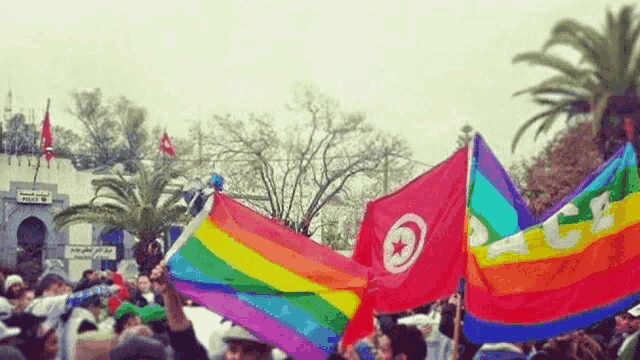 a group of people holding up rainbow colored flags in front of a building that says ' algerie ' on it