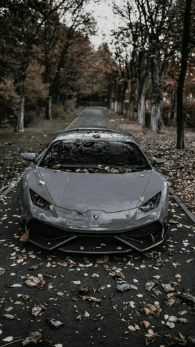 a gray lamborghini is parked on the side of the road covered in leaves