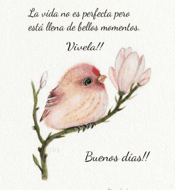 a bird is perched on a branch with a quote in spanish .