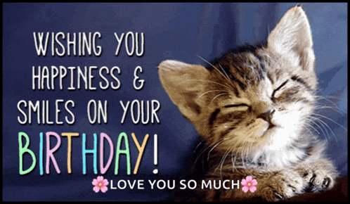 a birthday card with a kitten and the words wishing you happiness & smiles on your birthday