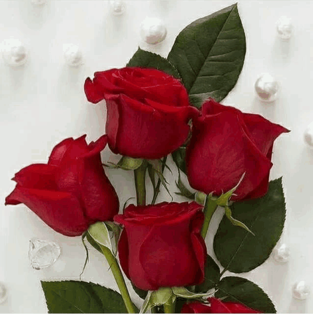a bunch of red roses sitting on top of a white surface