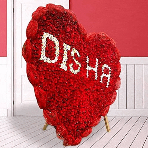 a large red heart made of red roses with the name disha written on it .