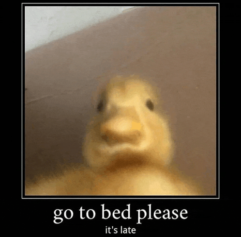 a close up of a duck with the words `` go to bed please it 's late '' written on it .