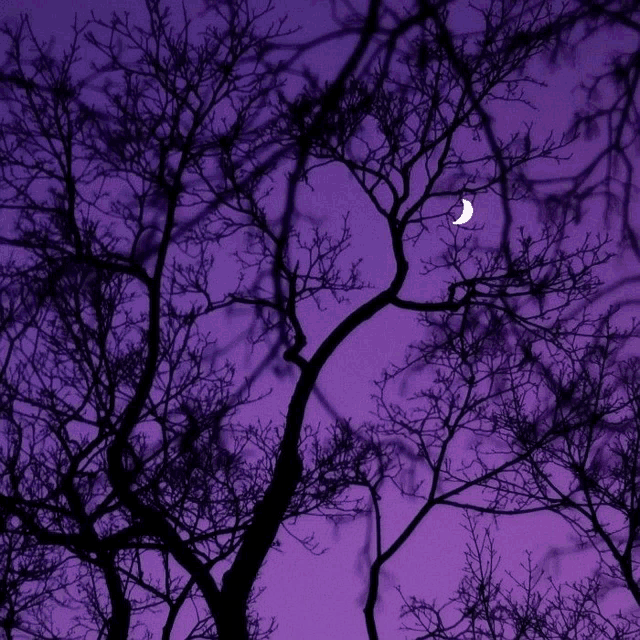 a purple sky with trees in the foreground and a crescent moon