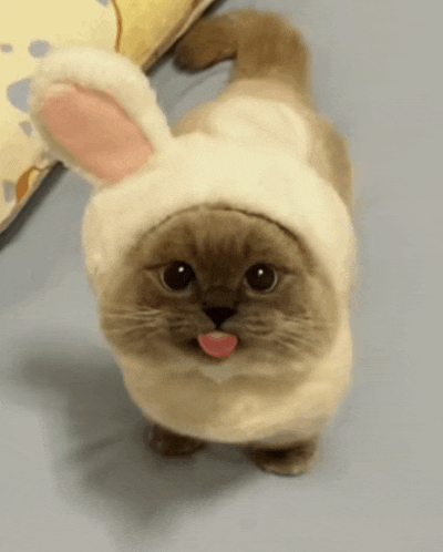 a cat wearing a white hat with bunny ears sticking out its tongue