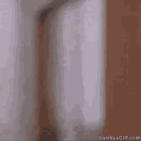 a blurry picture of a person with the website icanhasgif.com in the corner
