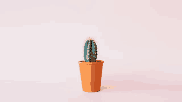 a small cactus in a brown pot on a pink surface