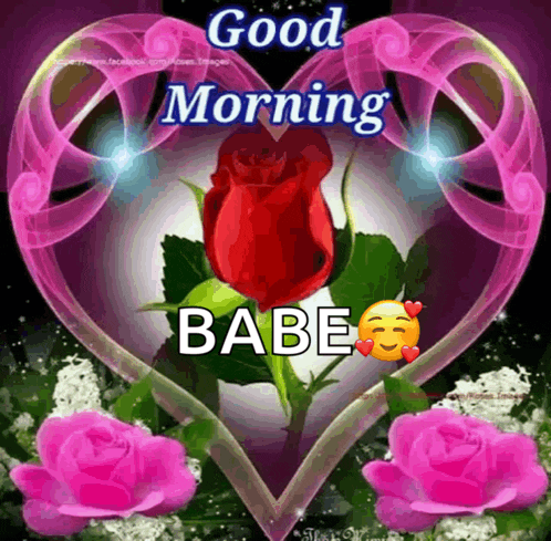 a good morning babe greeting card with a red rose