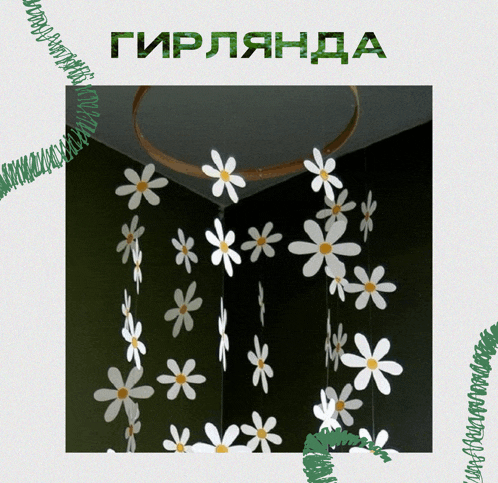 a picture of white daisies hanging from a ceiling with a green border and the word girlandda