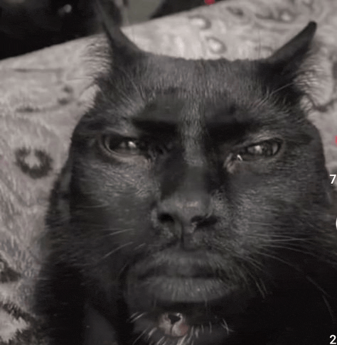a black cat with horns is laying down on a bed