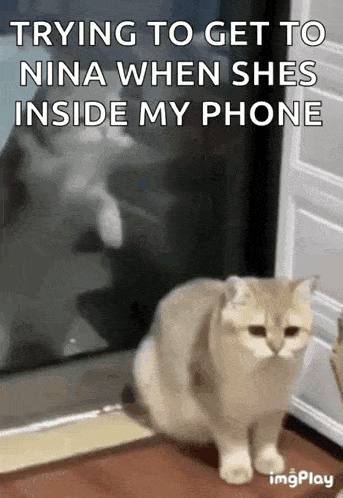 a cat is trying to get to nina when she is inside my phone .