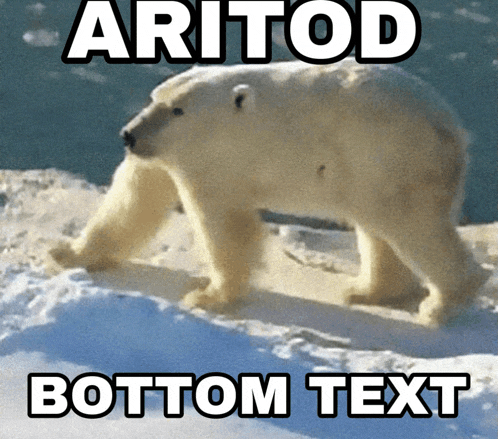 a polar bear standing in the snow with the words " aritod bottom text " above it