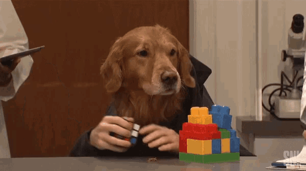 a dog is playing with a rubik 's cube on a table next to a pile of lego blocks .