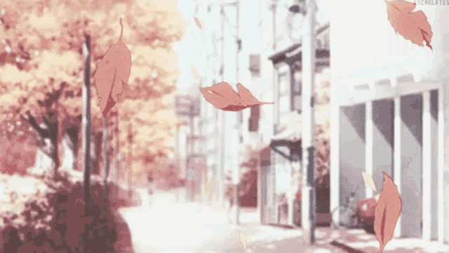 autumn leaves falling on a city street