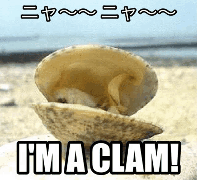 a clam shell on the beach with the words i 'm a clam below it