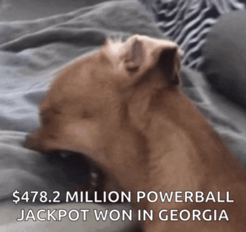 a dog laying on a bed with the words $ 478.2 million powerball jackpot won in georgia on the bottom