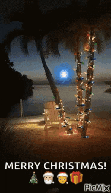 two palm trees are decorated with christmas lights and the words merry christmas are above them