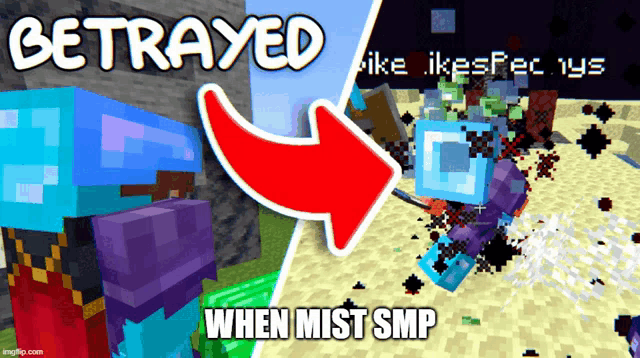 a screenshot of a video game with the words betrayed when mist smp at the bottom