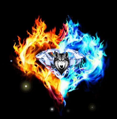 a wolf is surrounded by fire and a diamond