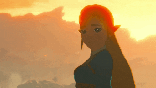 a video game character stands in front of a sunset sky