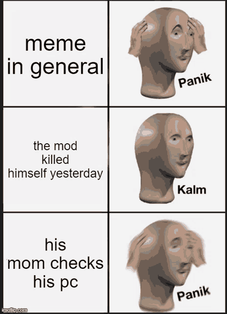 meme in general the mod killed himself yesterday his mom checks his pc panik imgflip.com