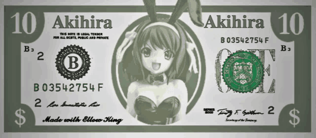 a 10 dollar bill has a picture of a girl on it