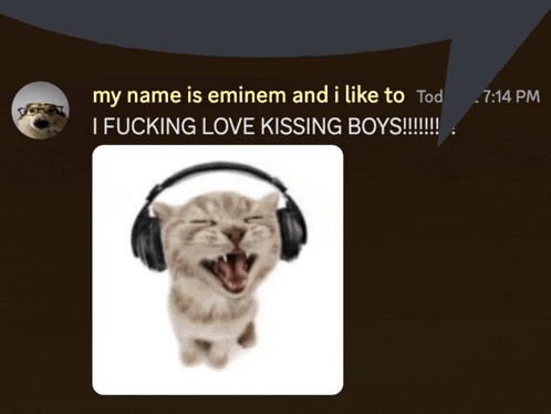 a picture of a cat wearing headphones with the words " my name is eminem and i like to "