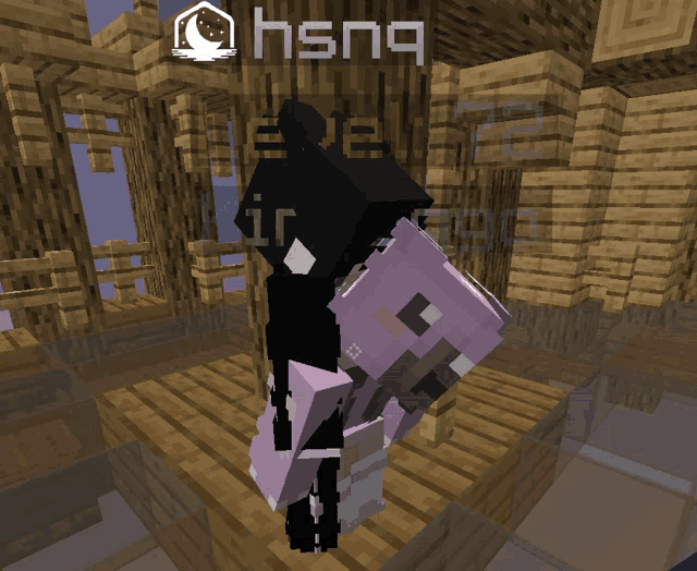 a screenshot of a minecraft game with the name hsn9 on it