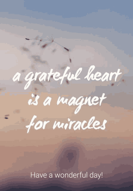 a grateful heart is a magnet for miracles is written on a greeting card