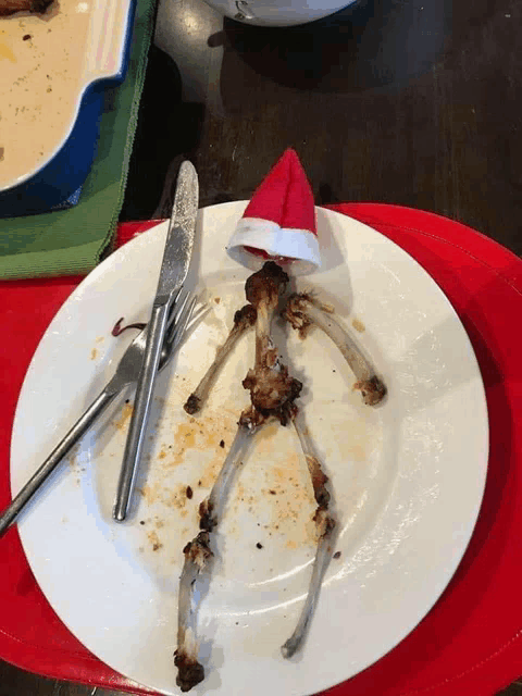 a skeleton made out of chicken bones with a santa hat on top