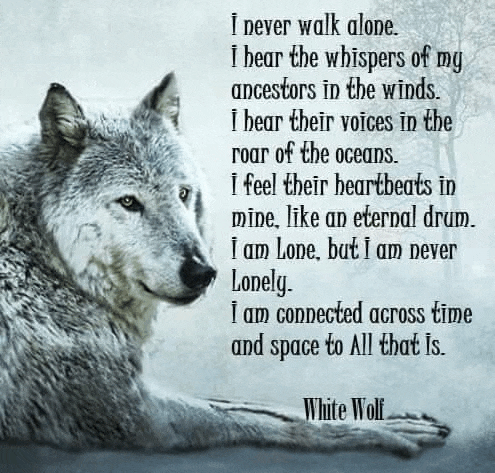 a white wolf is laying down with a quote from white wolf on it .