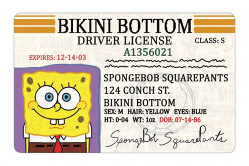 a bikini bottom driver license with spongebob squarepants written on it