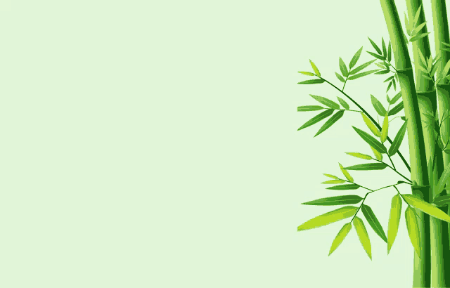 a green bamboo plant with leaves on a white background