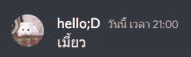 a gray background with a picture of a hamster and the words hello d