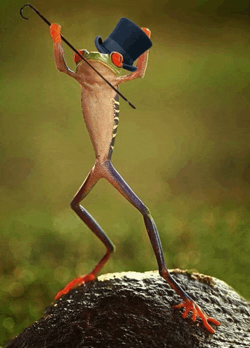 a frog wearing a top hat and a cane