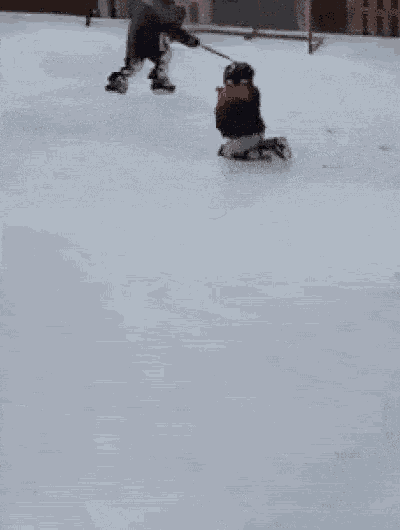 a boy and a dog are playing hockey in the snow . the dog is pulling the boy on a leash .