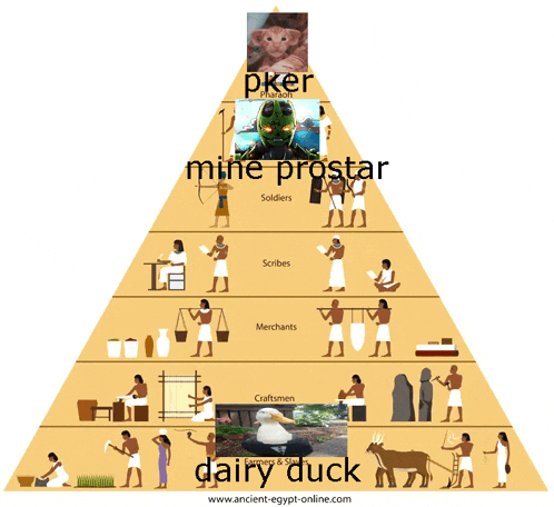 a pyramid showing the different levels of people and animals