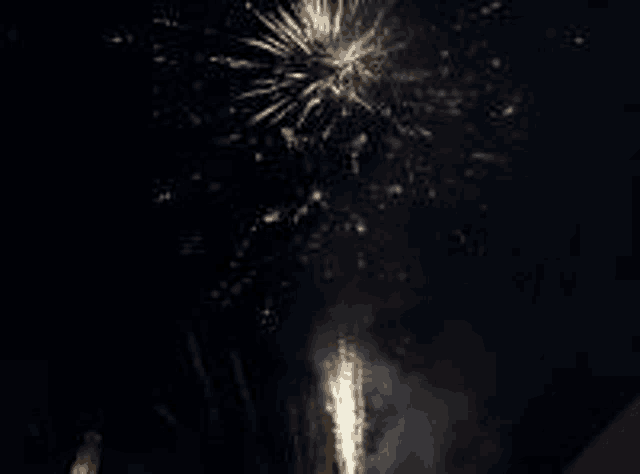 a fireworks display in the night sky with a statue in the background .