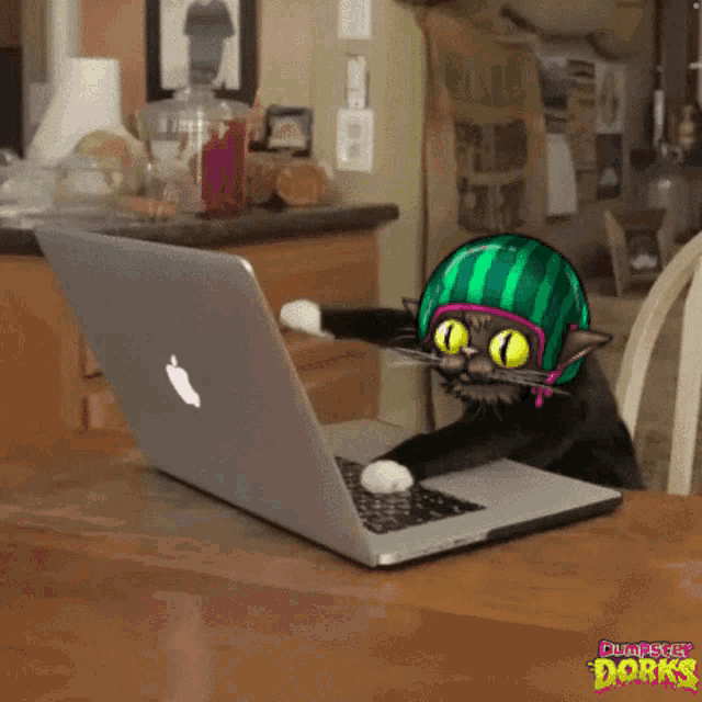 a cat wearing a watermelon helmet is using an apple laptop computer