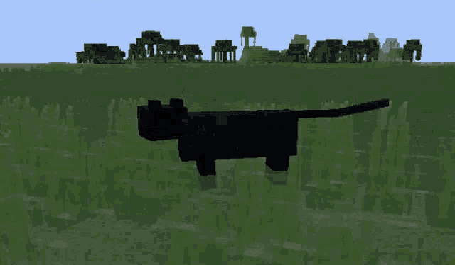 Minecraft Cats GIF